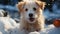 Cute puppy playing in the snow, purebred terrier, joyful and fluffy generated by AI