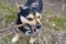 Cute puppy playing with a wooden stick for a walk. Beautiful mongrel