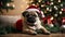 Cute puppy pug wearing Santa Claus red hat sits on the floor under the Christmas tree. Happy New Year decoration