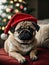 Cute puppy pug wearing Santa Claus red hat sits on the sofa