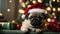 Cute puppy pug wearing Santa Claus red hat sits on the sofa