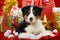 Cute puppy with red christmas decoraion