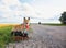 Cute puppy red dog Corgi sits on two old suitcases on a rural road waiting for transport while traveling on a summer day