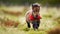 Cute puppy running through green meadow, happiness abound generated by AI