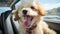 Cute puppy sitting in car, enjoying summer journey generated by AI