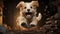Cute puppy sitting, looking at camera, playful, fluffy, cheerful generated by AI