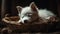 Cute puppy sleeping in a basket, purebred dog, innocence, relaxation generated by AI