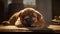 Cute puppy sleeping, resting, comfortable, pampered, playful, looking at camera generated by AI