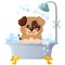 Cute puppy taking bath. Dog grooming