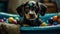 Cute Puppy Taking a Bath in Vintage Clawfoot Tub with Colorful Toys and Towels