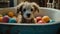 Cute Puppy Taking a Bath in Vintage Clawfoot Tub with Colorful Toys and Towels