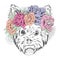 Cute puppy vector . York in the floral wreath .