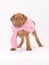 Cute puppy wearing a pink little coat