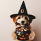 Cute puppy in a witch hat with a jack-o-lantern bowl of Halloween treats, trick or treat, generative ai