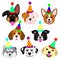 Cute pups face with party hat set set