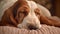 Cute purebred beagle puppy sleeping comfortably on pampered pet bed generated by AI