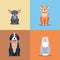 Cute Purebred Dogs Cartoon Flat Vectors Icons Set