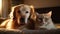 Cute purebred retriever and kitten share pillow generated by AI