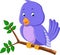 Cute purple bird cartoons