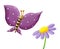 Cute purple butterfly and flower