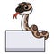 Cute python molurus bivittatus cartoon with blank sign