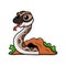 Cute python molurus bivittatus cartoon out from hole