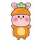 Cute rabbit in carrot costume on white background.Animal funny character cartoon