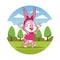 Cute rabbit cartoon