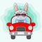 Cute rabbit cartoon driving a car