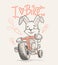 Cute rabbit cartoon ride bicycle