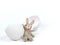 Cute rabbit doll with egg shell broken crack on white background