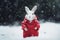 Cute rabbit dressed santa claus. Generate Ai