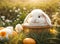 Cute rabbit on the lawn spring sunny holiday season decorated greeting garden friend beautiful small decorative fluffy