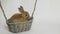 Cute rabbit sitting in a basket