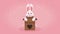 cute rabbit with wooden house
