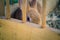 Cute rabbit in wooden nest