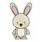 Cute rabbit woodland animal