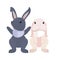 Cute rabbits cartoon