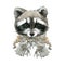 Cute raccon watercolor illustration JPEG, PNG. wild baby animals series