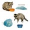 Cute raccoon animal washing cloths. Watercolor.