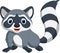 Cute raccoon cartoon