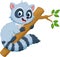 Cute raccoon cartoon