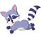 Cute raccoon cartoon