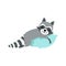 Cute Raccoon Character Sleeping On The Pillow