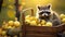 Cute Raccoon Harvesting Pears in a Calm Autumn AI Generated