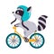 Cute Raccoon in Helmet Biking or Cycling Riding Bicycle Vector Illustration
