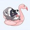 Cute raccoon kawaii cartoon character. Adorable and funny animal with pink flamingo swimming ring isolated sticker, patch. Anime
