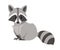 Cute raccoon. North American raccoon, native mammal. Cartoon animal design. Flat  illustration isolated on white background