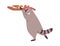 Cute raccoon stealing food, sneaking cookies. Funny racoon pulling biscuits off table, stretching to sweets. Adorable