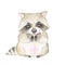 Cute raccoon. Watercolor